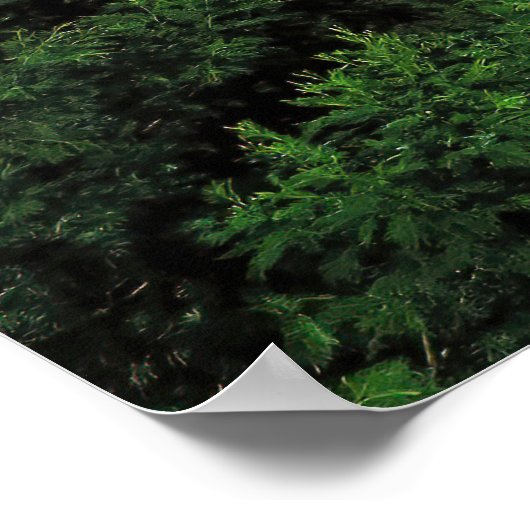 Bromo crater poster (Hoek)