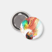 Bron van alle Rainbows Magneet (Voorkant / Achterkant)
