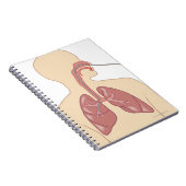 Bronchoscoop Notitieboek (Rechterzijde)