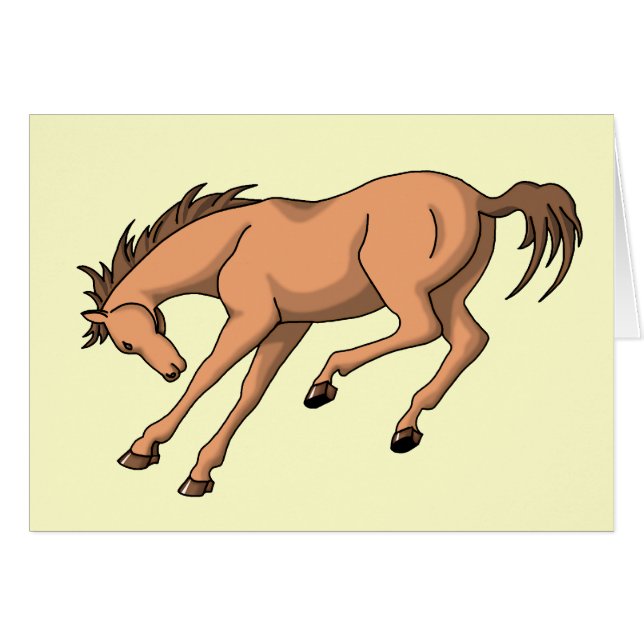 Bronco (Voorkant Horizontaal)