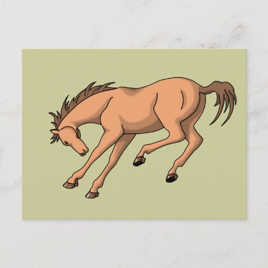 Bronco Briefkaart (Voorkant)