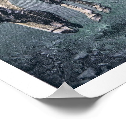 Bronco-Buster (gekleurd gravure) Poster (Hoek)