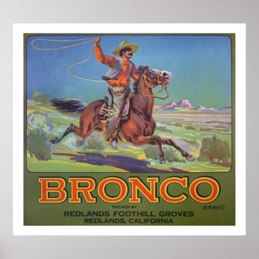 "Bronco Sinaasappels, c.1900 (kleurenlitho) Poster (Voorkant)