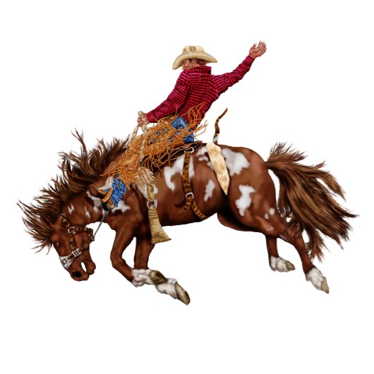  broncostrijder blikjeskoeler