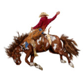  broncostrijder papieren bordje