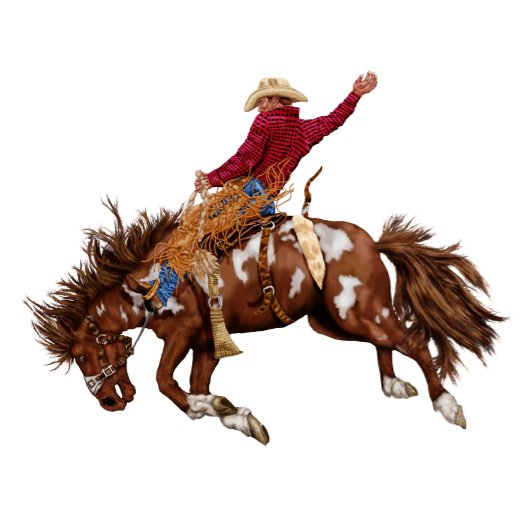  broncostrijder papieren bordje