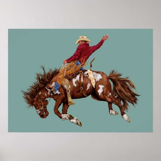  broncostrijder poster (Voorkant)