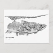 Bronforel Briefkaart (Voorkant)