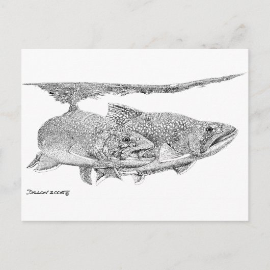 Bronforel Briefkaart (Voorkant)