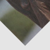 brongelpapier tissuepapier (Detail)