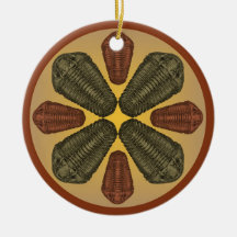 Brons en Koper Calymene Niagarensis trilobieten