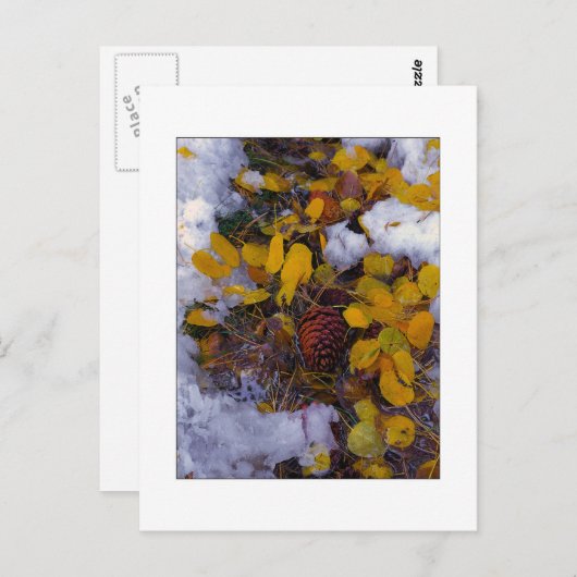 "Bronsoep" Briefkaart (Voorkant / Achterkant)