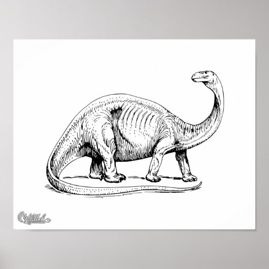 Brontosaurus Poster (Voorkant)