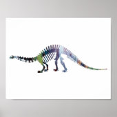 brontosaurus skelet poster (Voorkant)