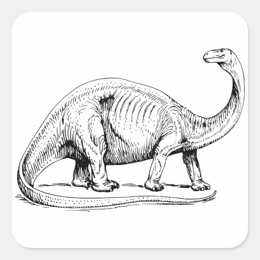 Brontosaurus Vierkante Sticker (Voorkant)