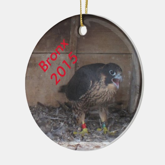 Bronx 2015 keramisch ornament (Links)