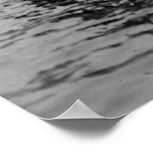 Bronx Amusement Park, jaren 20 Poster (Hoek)