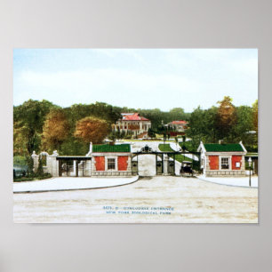 Bronx Zoo, New York City  Poster