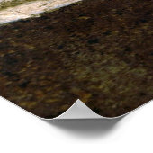 Bronze Beauty Poster (Hoek)