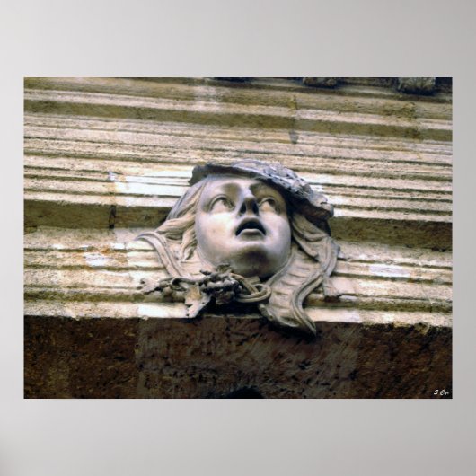 Bronze Beauty Poster (Voorkant)