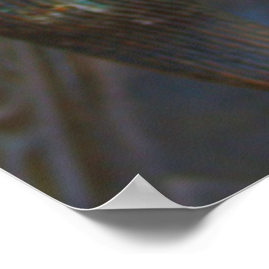 Bronze Dragon - Shanghai, China Poster (Hoek)