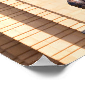 Bronze Jayhawk Poster (Hoek)