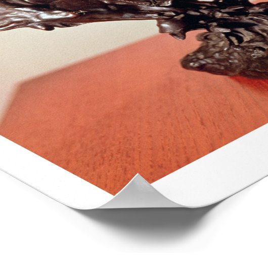 Bronze Poster (Hoek)