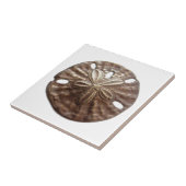 Bronze Sand Dollar Tegeltje (Zijkant)