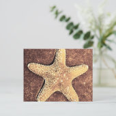 Bronze Starfish Post Card Briefkaart (Staand voorkant)