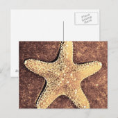 Bronze Starfish Post Card Briefkaart (Voorkant / Achterkant)