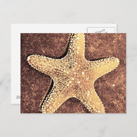 Bronze Starfish Post Card Briefkaart (Voorkant / Achterkant)