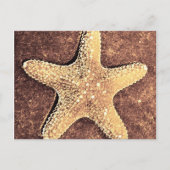 Bronze Starfish Post Card Briefkaart (Voorkant)