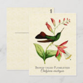 Bronze Tailed Plumeleteer Hummingbird  Art Briefkaart (Voorkant / Achterkant)