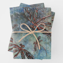 Bronze Tipped Dragonflies op een magische hemel