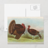 Bronze Turkeys Briefkaart (Voorkant / Achterkant)