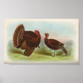 Bronze Turkeys Poster (Voorkant)