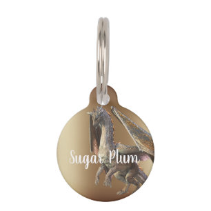 Bronzen Draak Huisdier Hond Kat Verloren Id Huisdierpenning