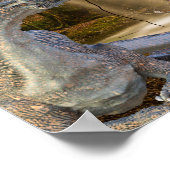 Bronzen Draak met Feeën Elf Koningin Poster (Hoek)