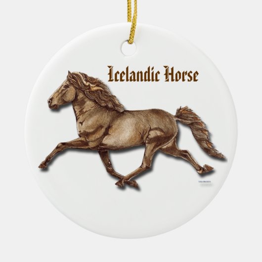 Bronzen IJslands Keramisch Ornament (Voorkant)