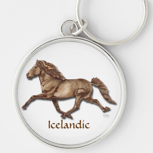 Bronzen IJslands Sleutelhanger (Voorkant)