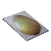 Bronzen tijdperk Ei Notitieboek (Rechterzijde)