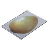 Bronzen tijdperk Ei Notitieboek (Linkerzijde)