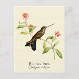 Bronzy Inca Hummingbird  Art Briefkaart