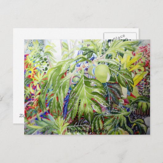 Brood Briefkaart (Voorkant / Achterkant)