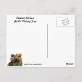 Brood en knoppen Briefkaarten ontvangen (Achterkant)