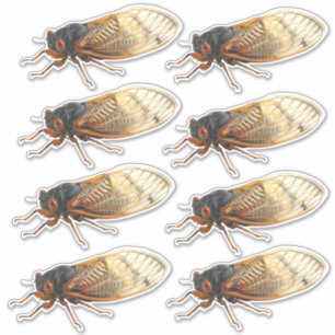 Brood X Periodieke Cicada Stickers: 8 per vel Sticker