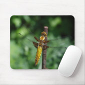 Broodbaars Muismat (Met muis)