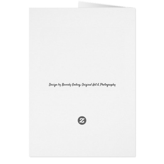 Broodeieren — vogelkaart (Achterkant)