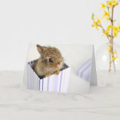 Broodje in de Doos! Kaart (Gele Bloem)