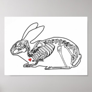 BROODJE SKELLY POSTER